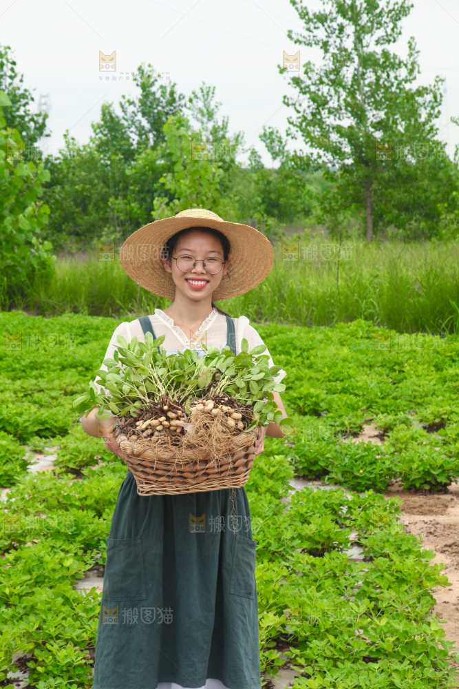 手里拿着现挖花生