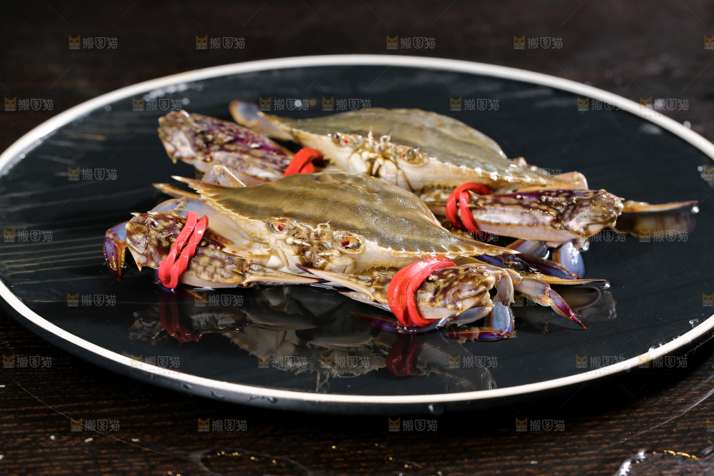 深底上放着梭子蟹
