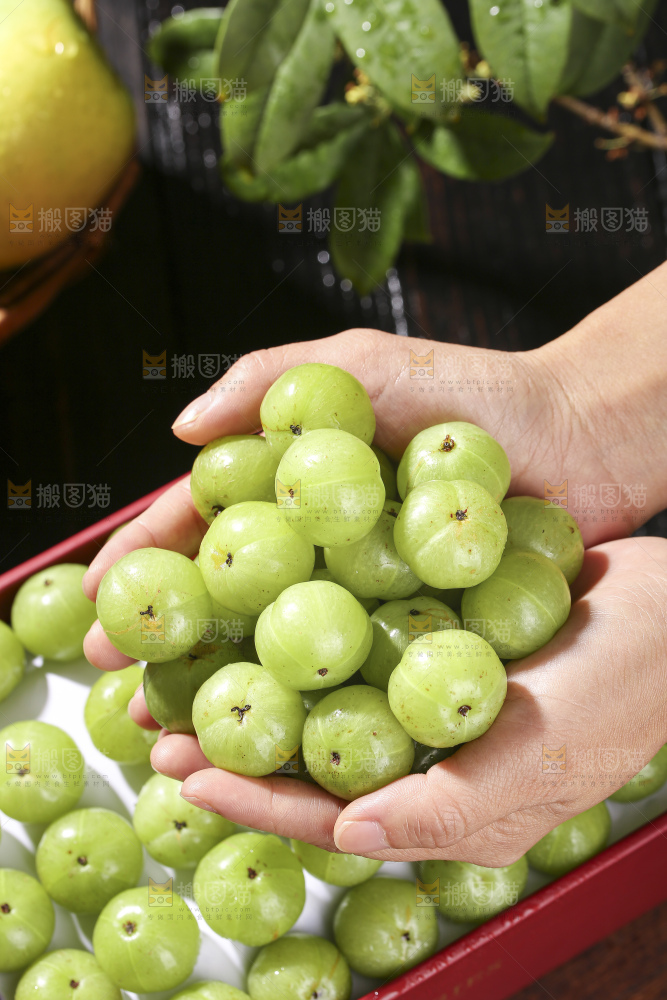 深底上的油甘果