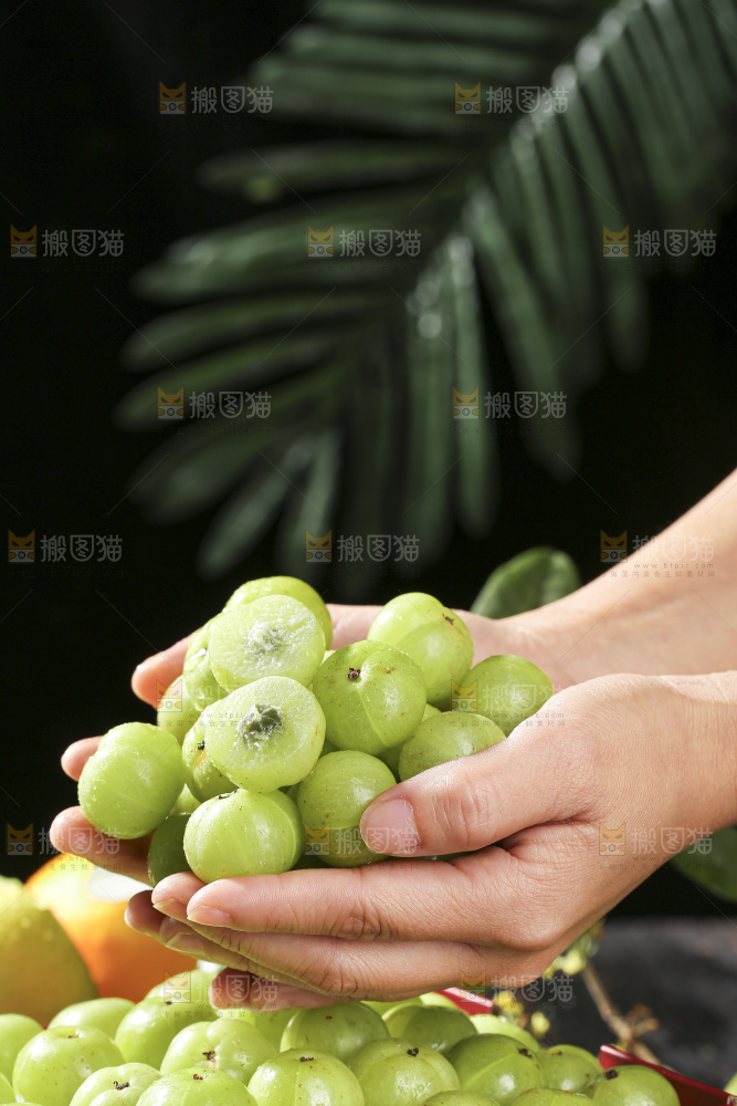 深底上的油甘果