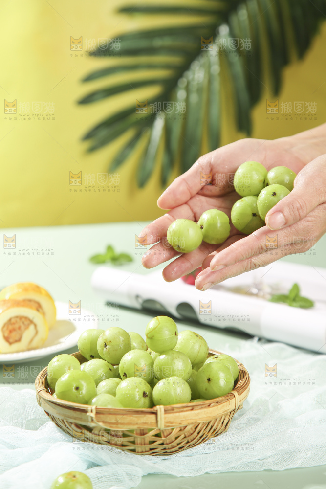 浅底上的油甘果