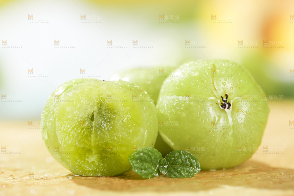 浅底上的油甘果