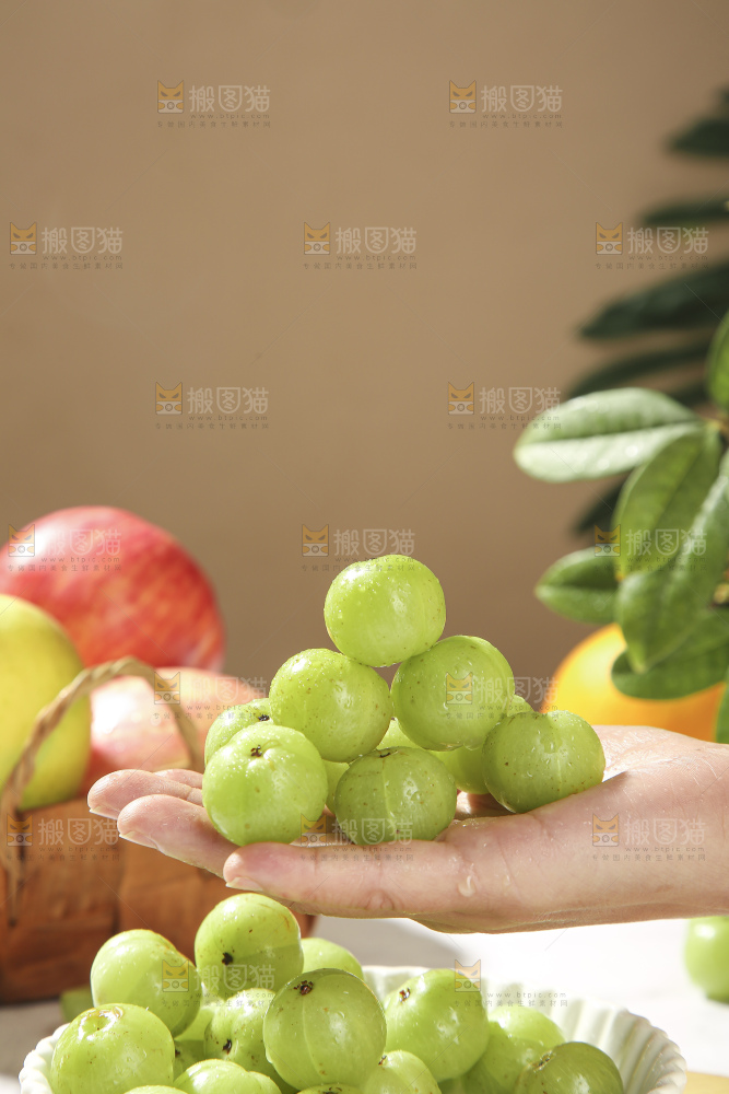 浅底上的油甘果