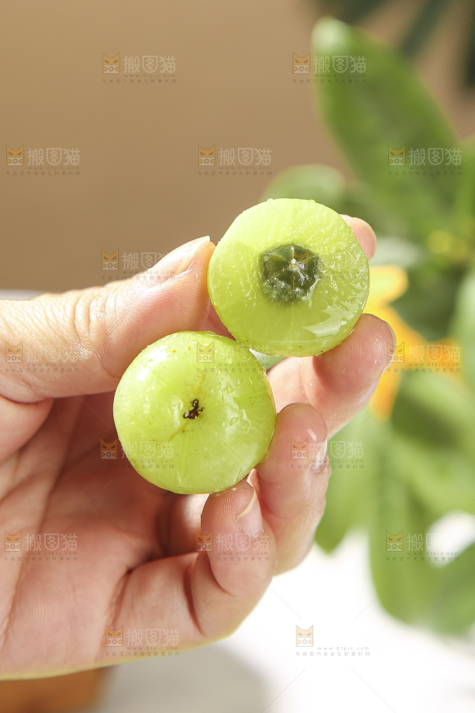 浅底上的油甘果