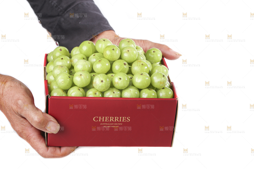 礼品盒里装着的油甘果