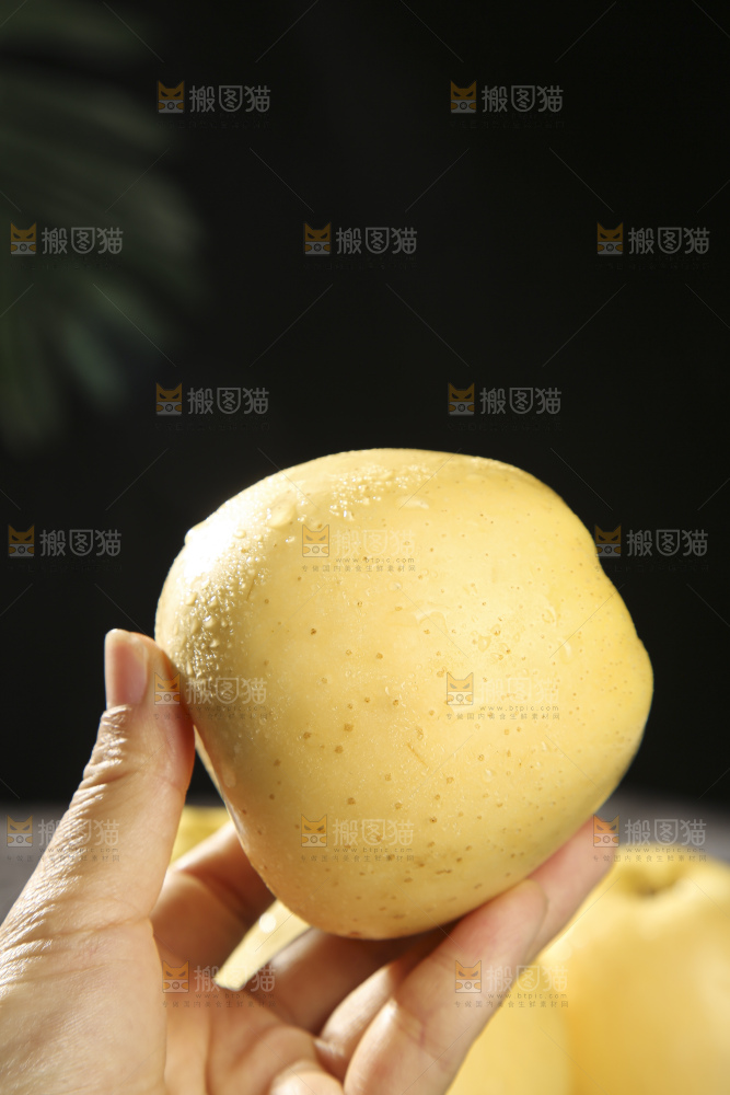深底上的维纳斯苹果