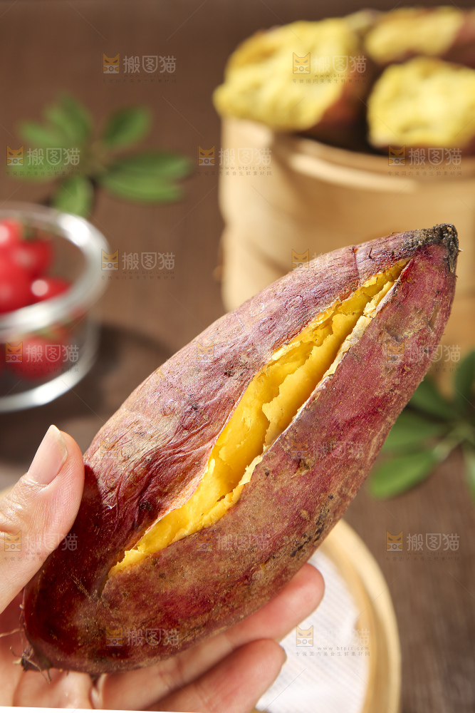 板栗薯