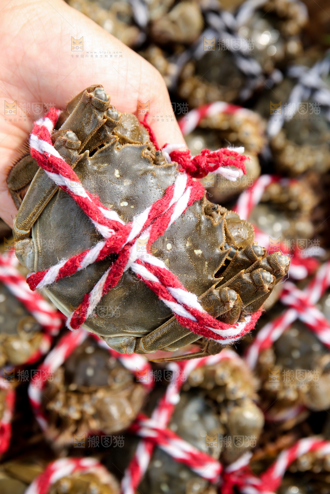 手里拿着阳澄湖大闸蟹
