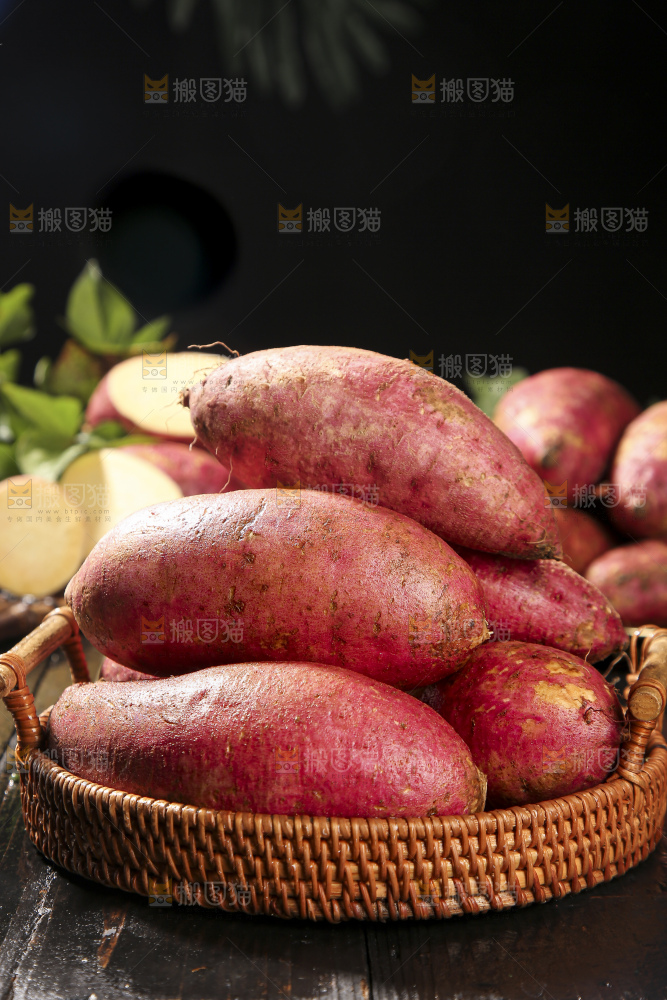 板栗薯