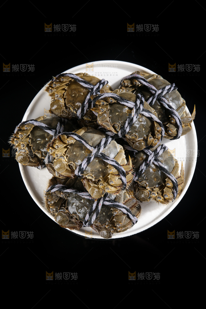 黑底上的鲜活大闸蟹