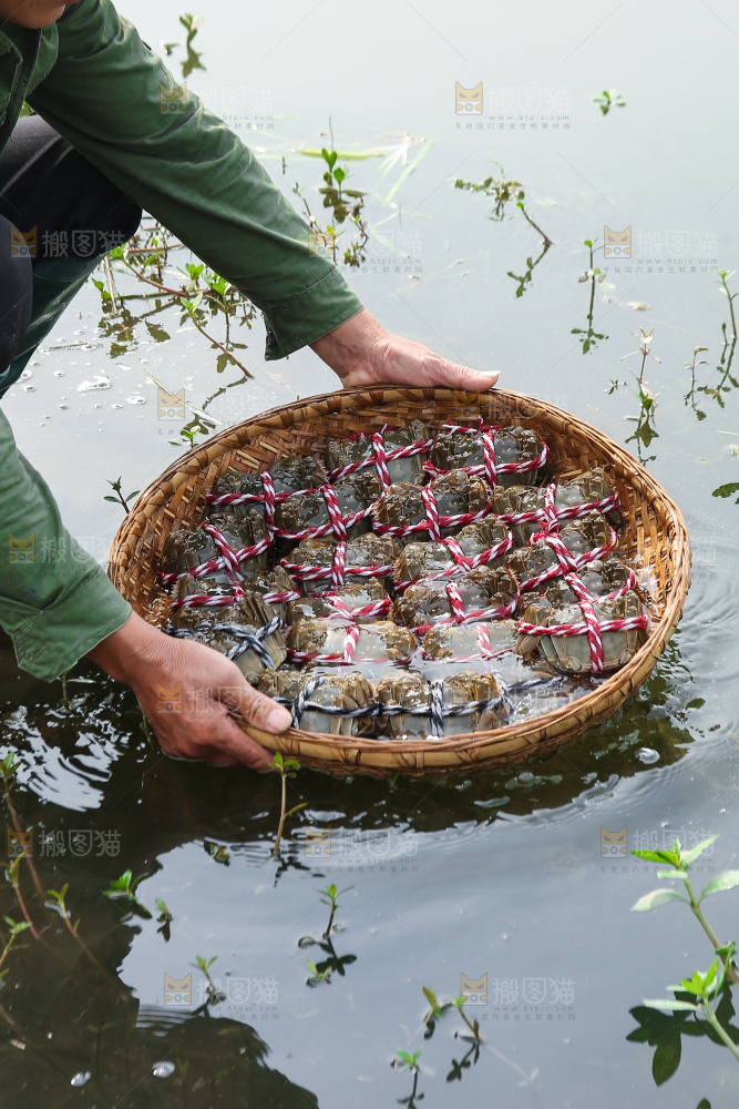 手里拿着阳澄湖大闸蟹