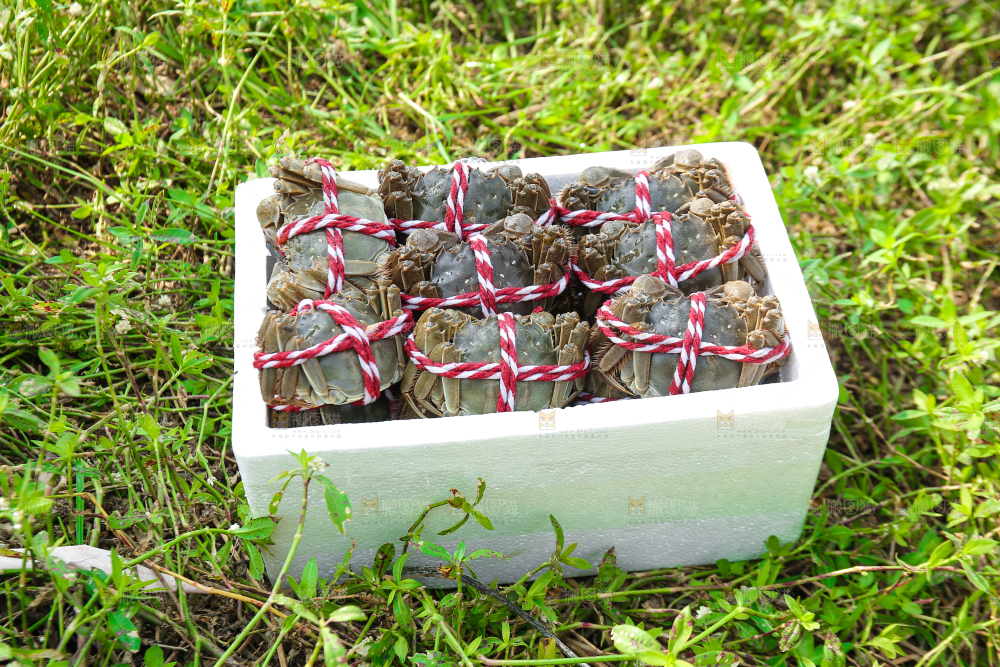 手里拿着阳澄湖大闸蟹
