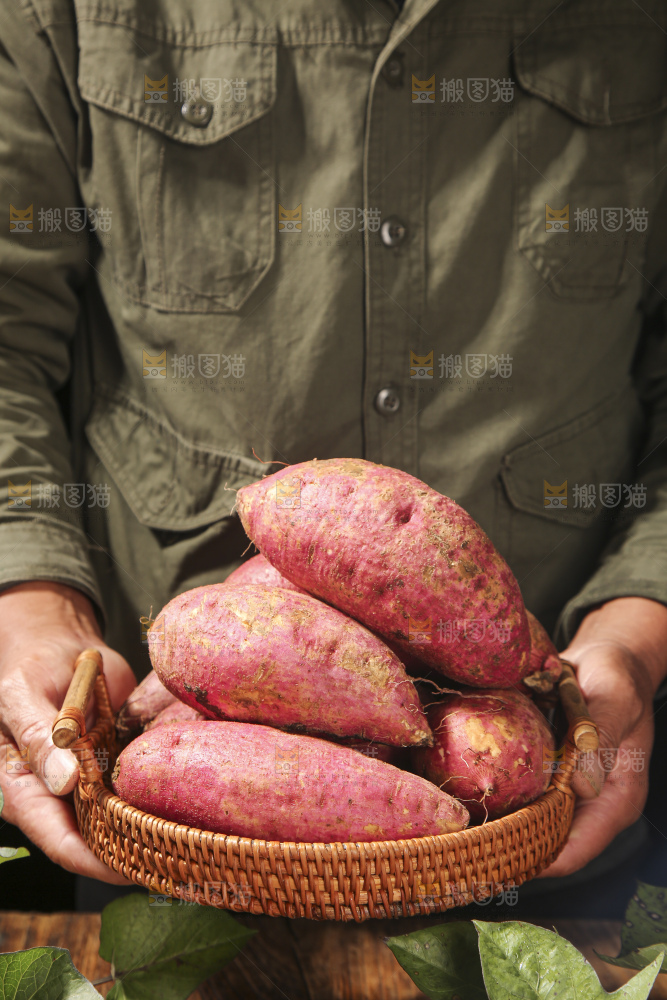 深底上的板栗红薯