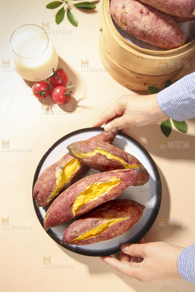 板栗薯