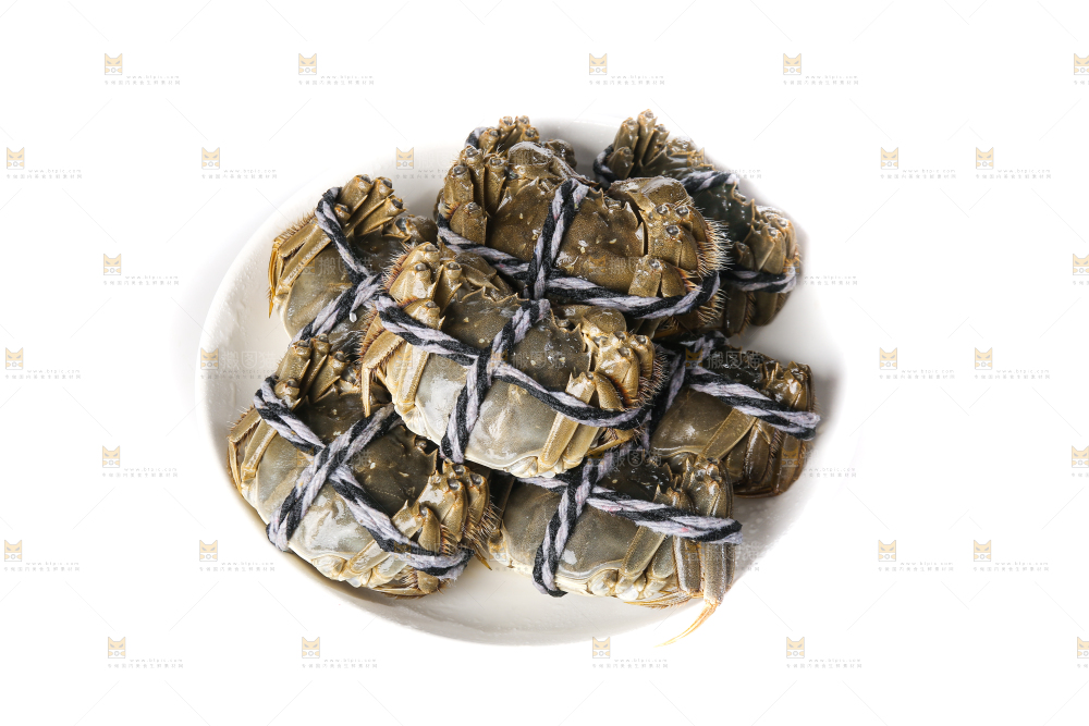 白底上的大闸蟹