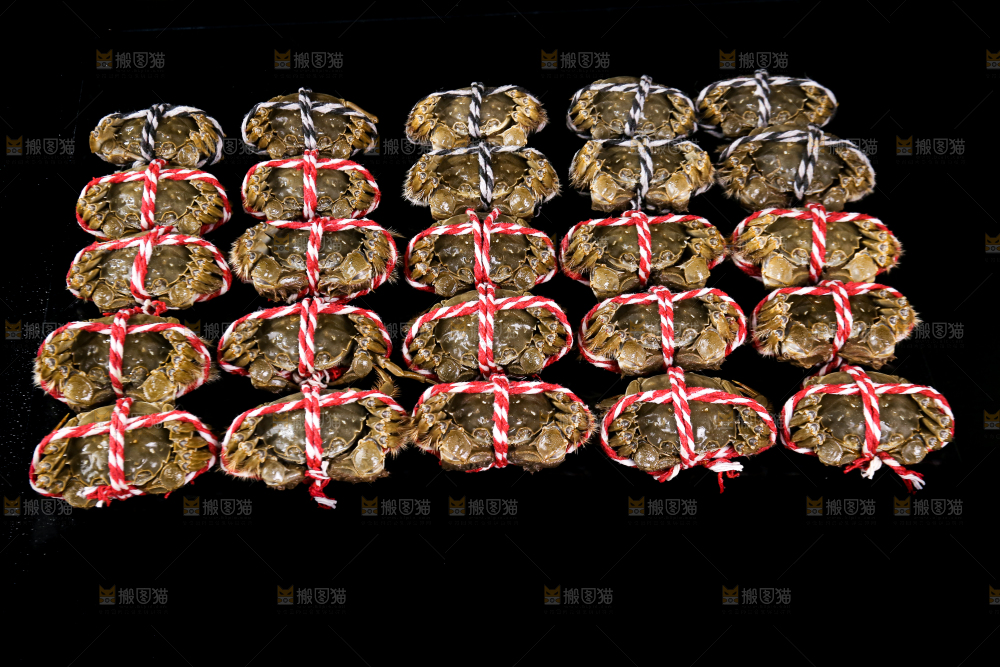 黑底上的鲜活大闸蟹