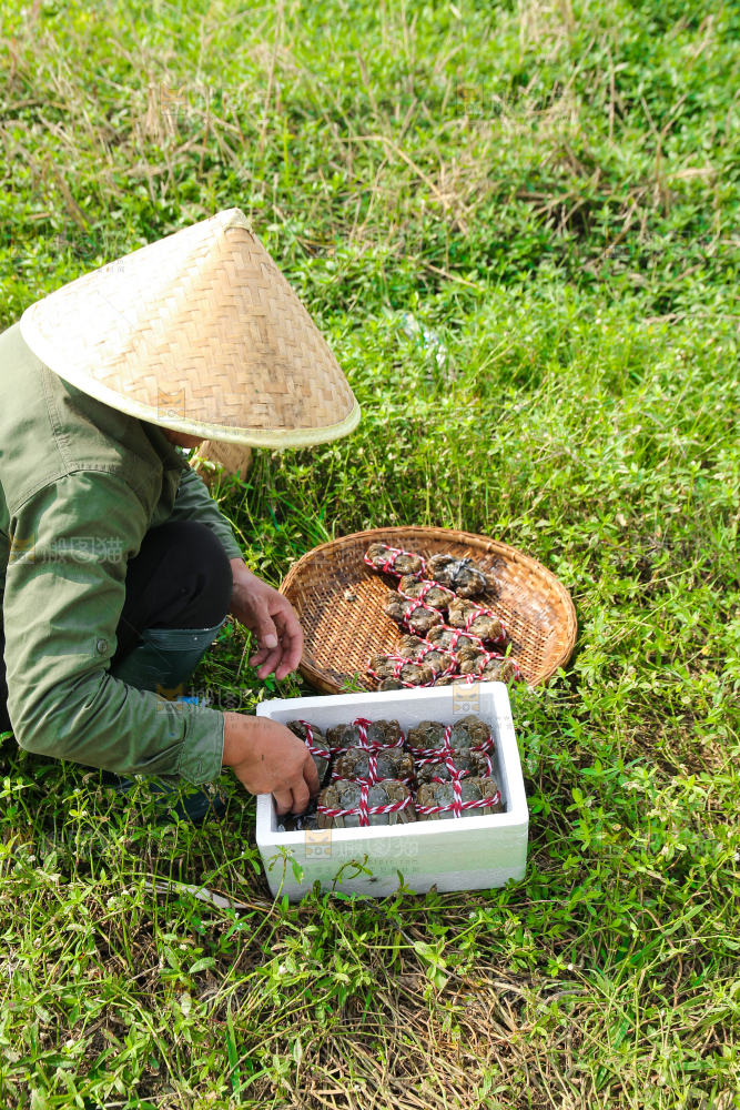 手里拿着阳澄湖大闸蟹