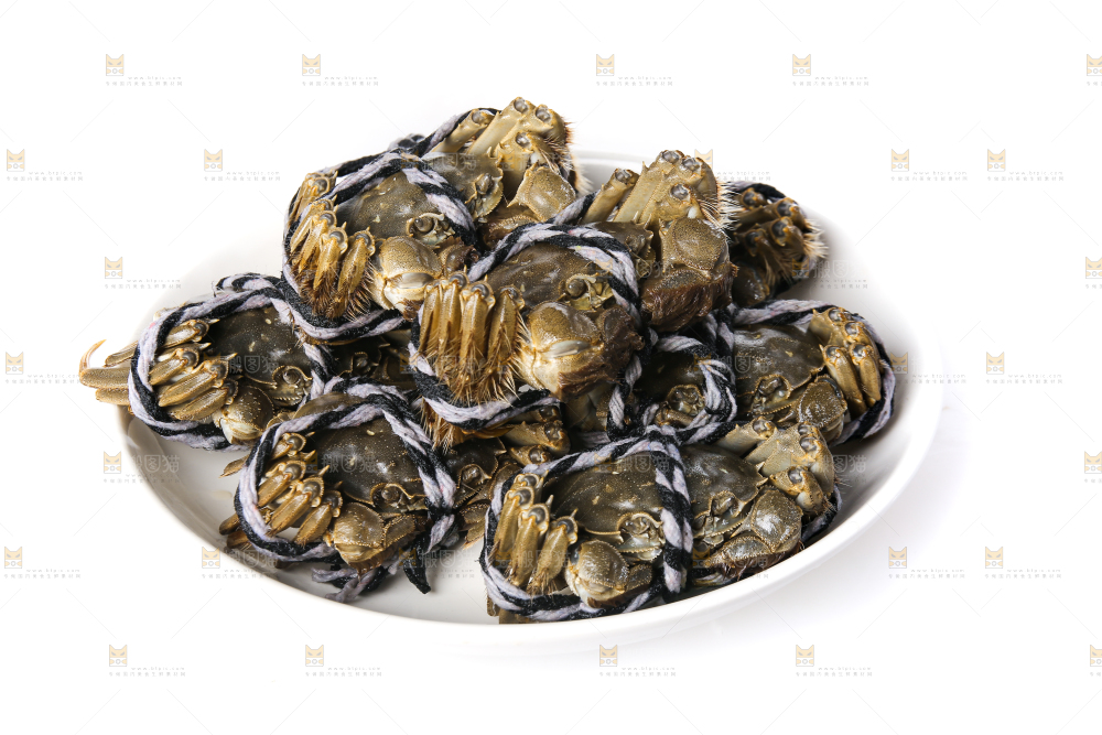 白底上的大闸蟹