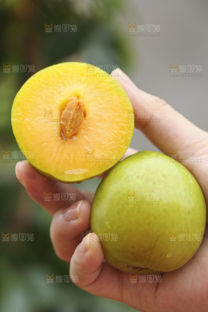 手里拿着恐龙蛋李子