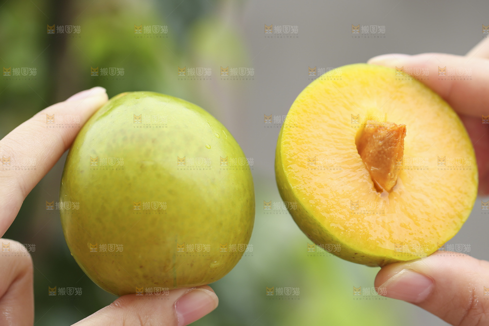 手里拿着恐龙蛋李子