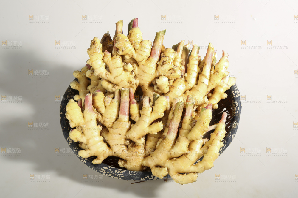 浅底上的云南小黄姜