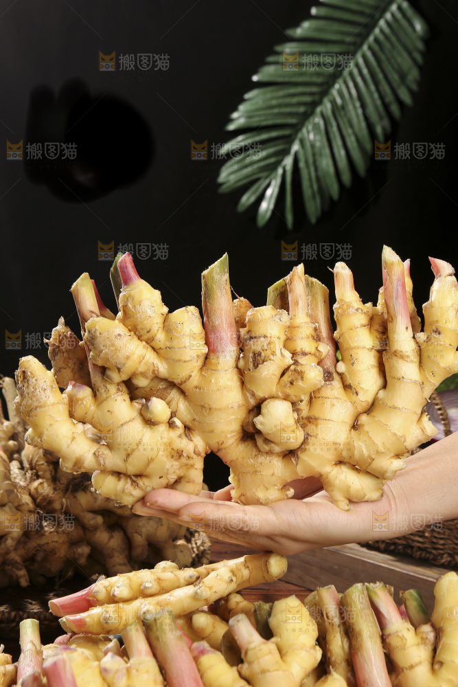 木底上的新鲜小黄姜