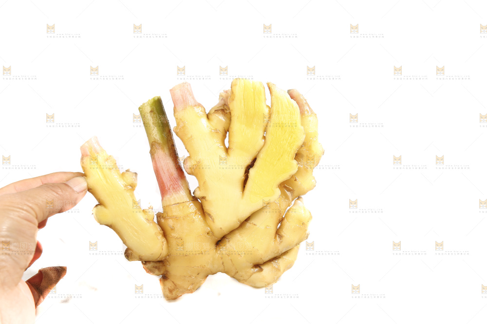 白底上的小黄姜