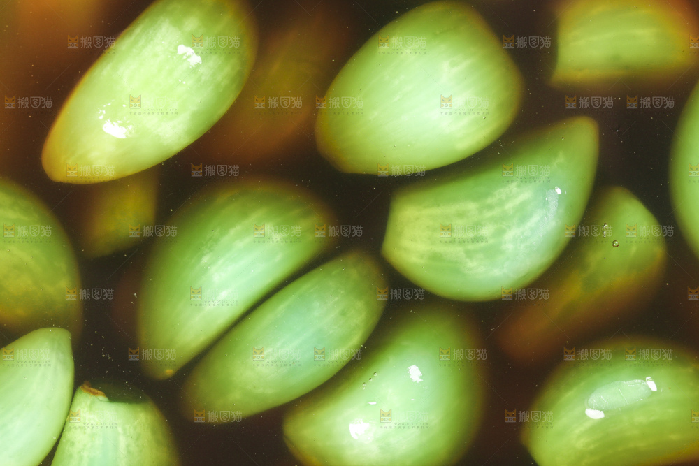 深底上的腊八蒜