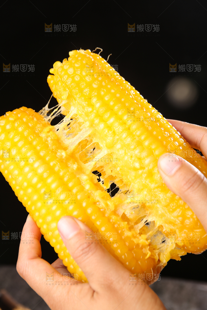 深底上的黄糯玉米