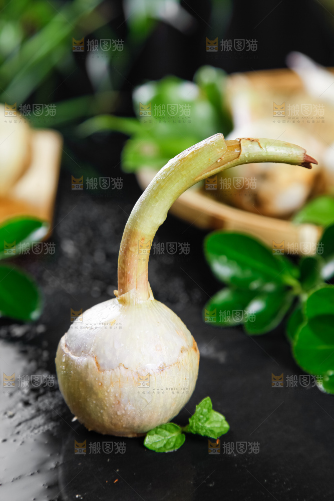 黑石板上放着白茨菇