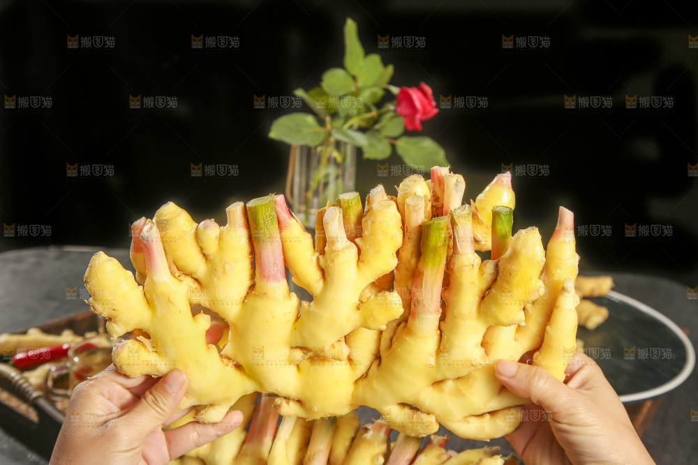 深底上的小黄姜