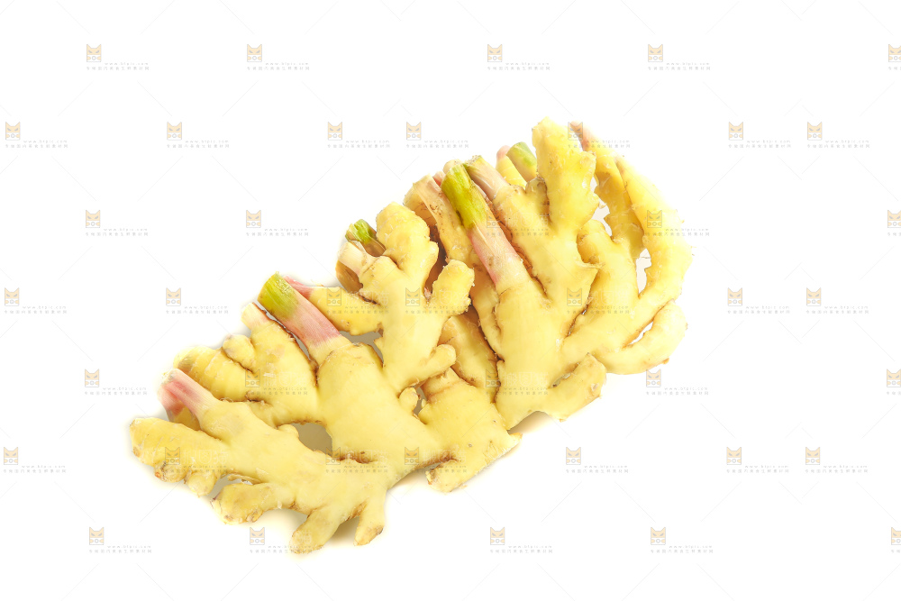 白底上的小黄姜