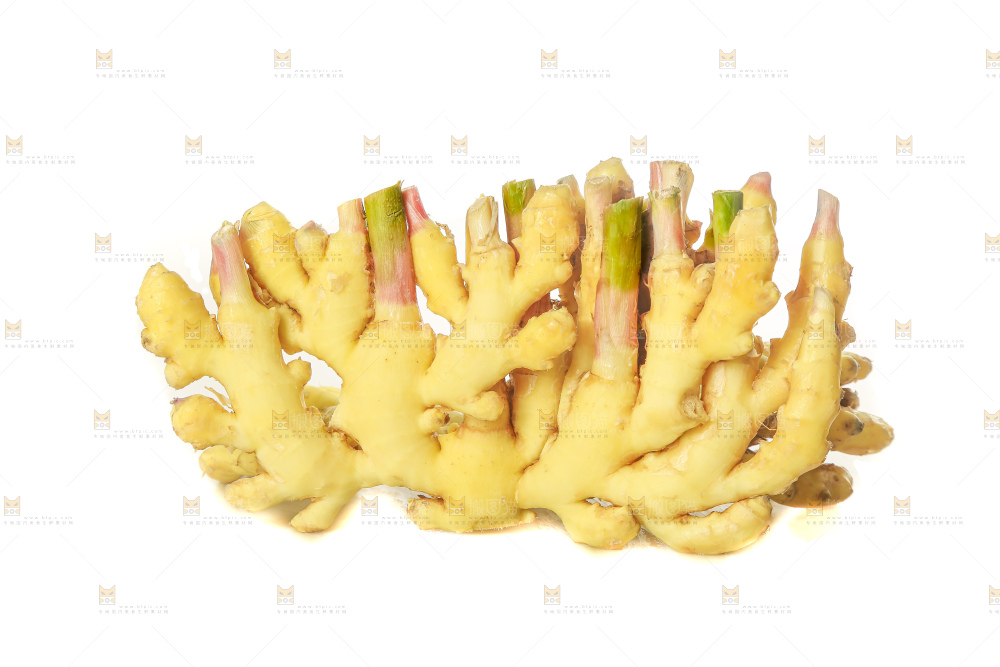 白底上的小黄姜