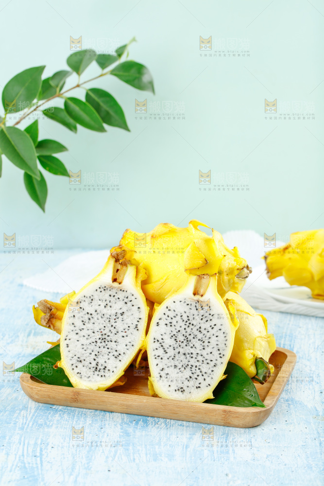 浅底上的黄皮火龙果