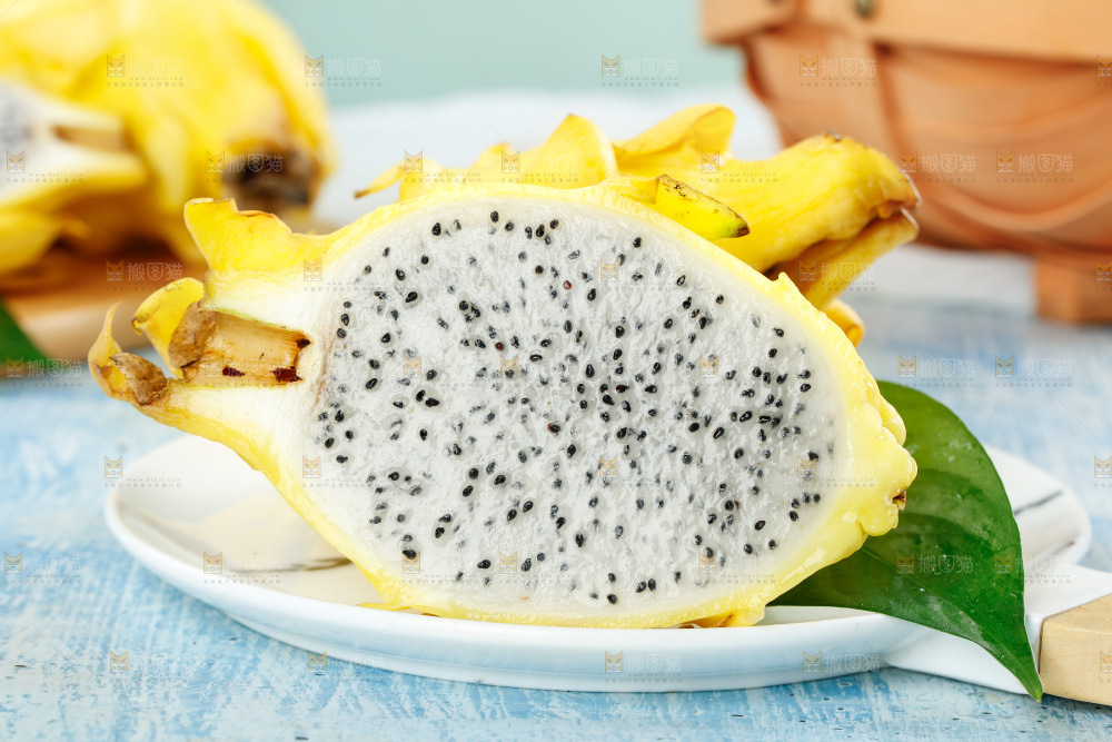 浅底上的黄皮火龙果