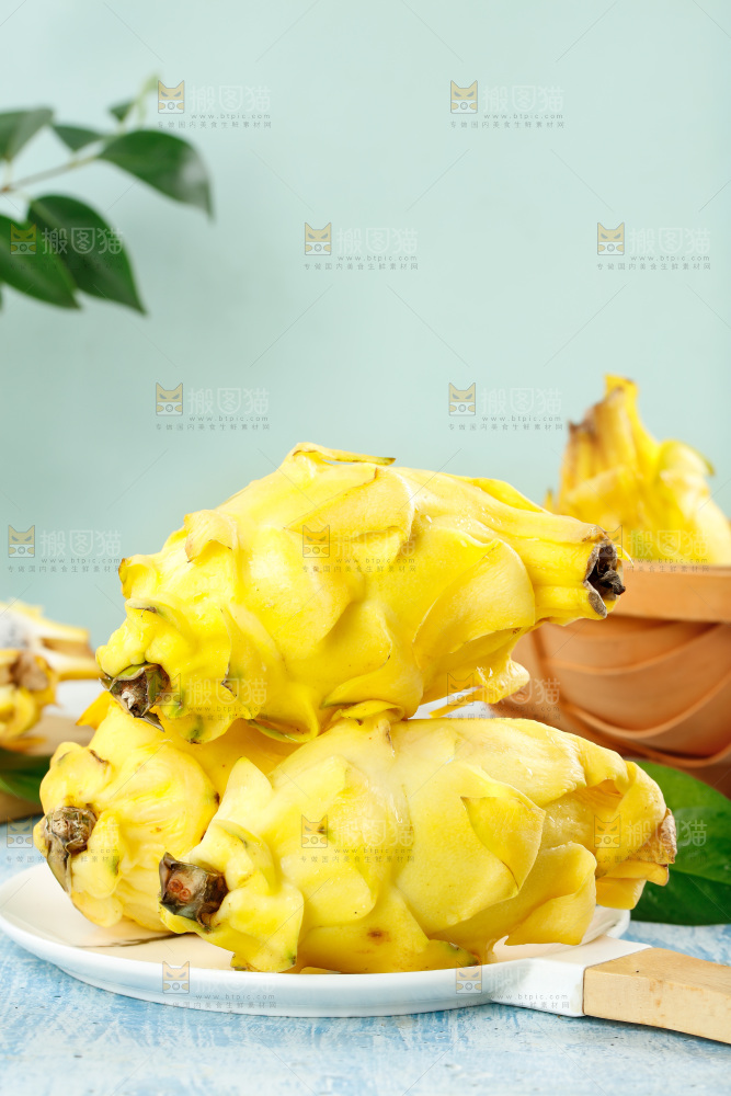 浅底上的黄皮火龙果