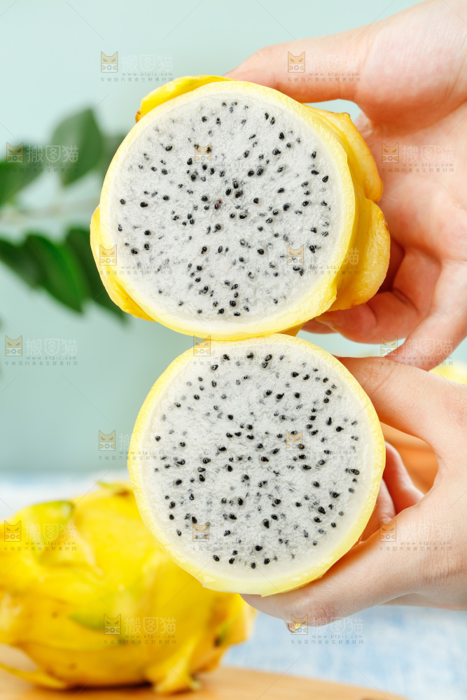 浅底上的黄皮火龙果