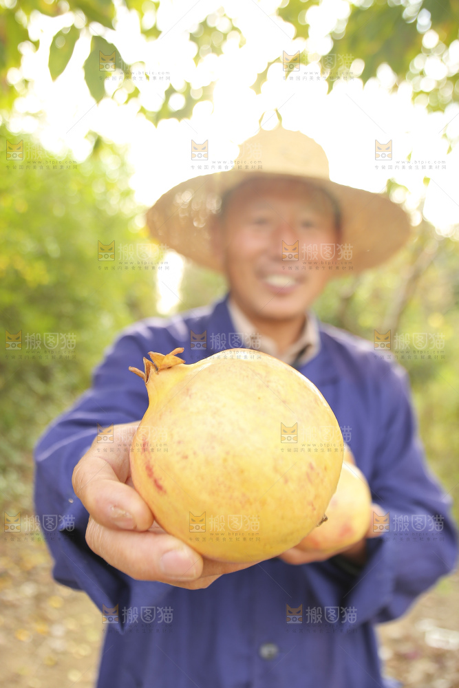手里拿着蒙自石榴