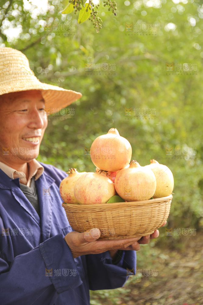 手里拿着蒙自石榴