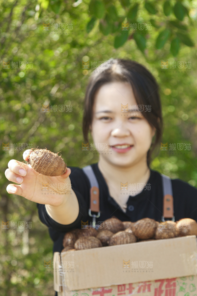手里拿着新鲜小芋头