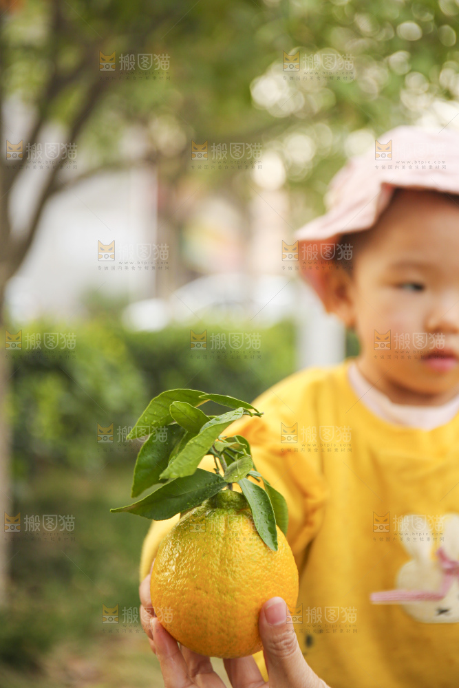 手里拿着丑八怪