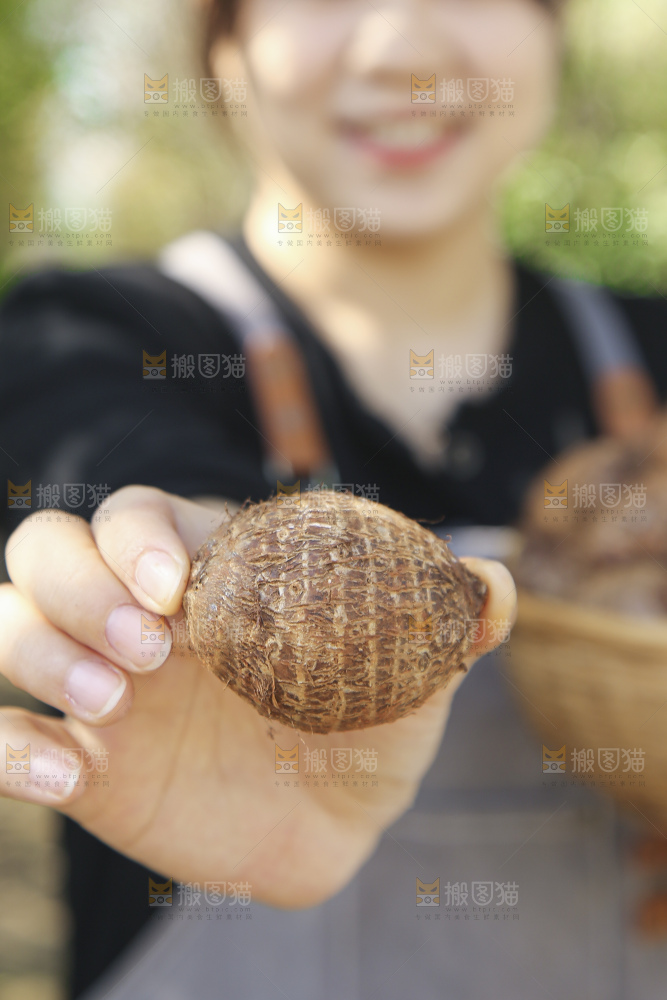 手里拿着新鲜小芋头
