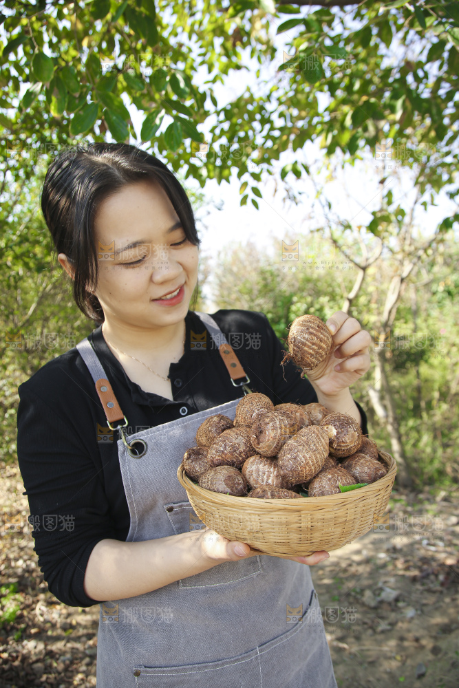 手里拿着新鲜小芋头