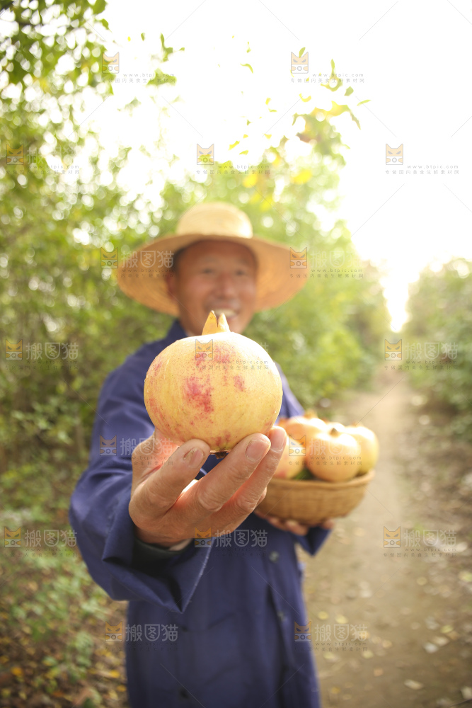 手里拿着蒙自石榴