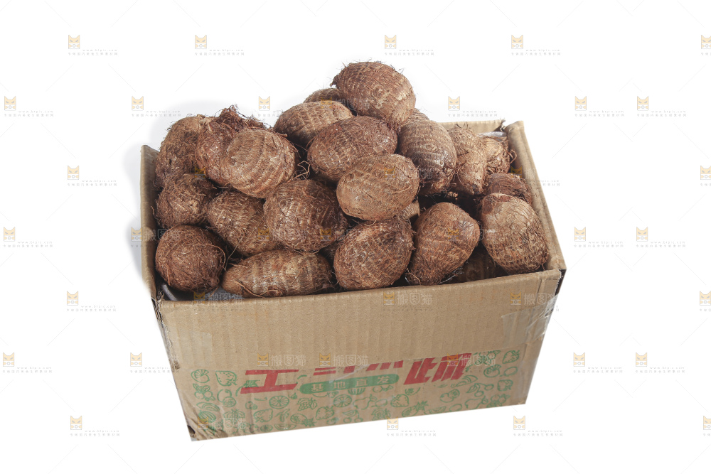 白底上的牛奶芋头