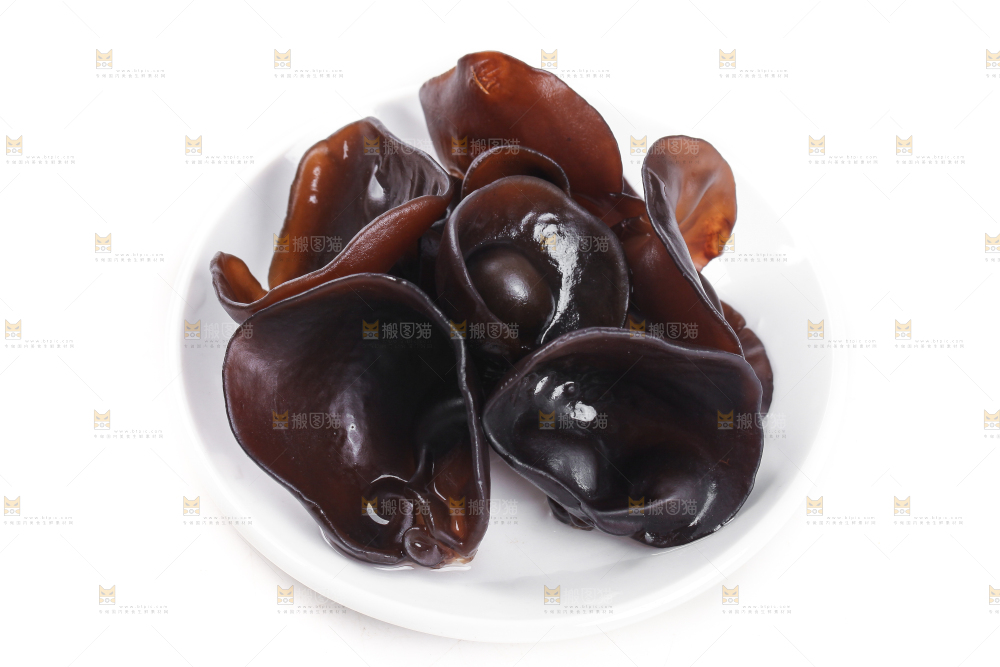 白底上的小碗耳