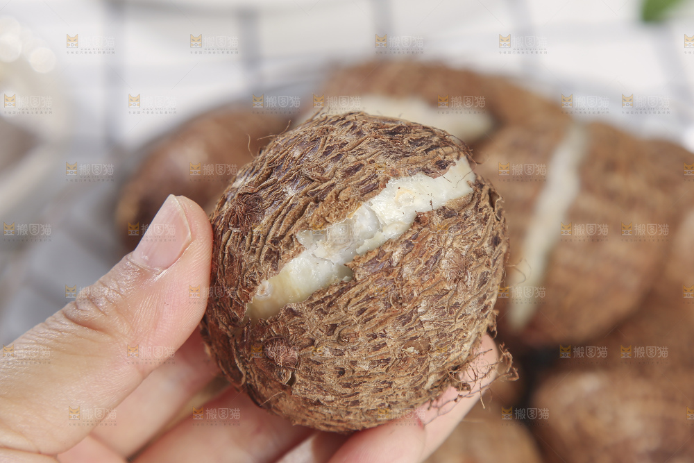 浅底上的新鲜小芋头