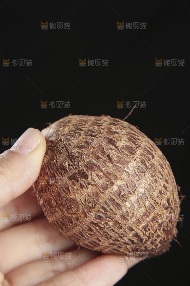 深底上的新鲜小芋头