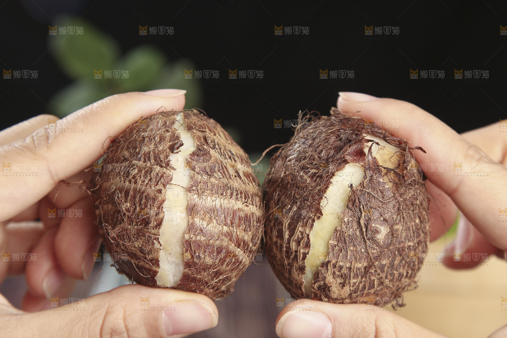 深底上的新鲜小芋头