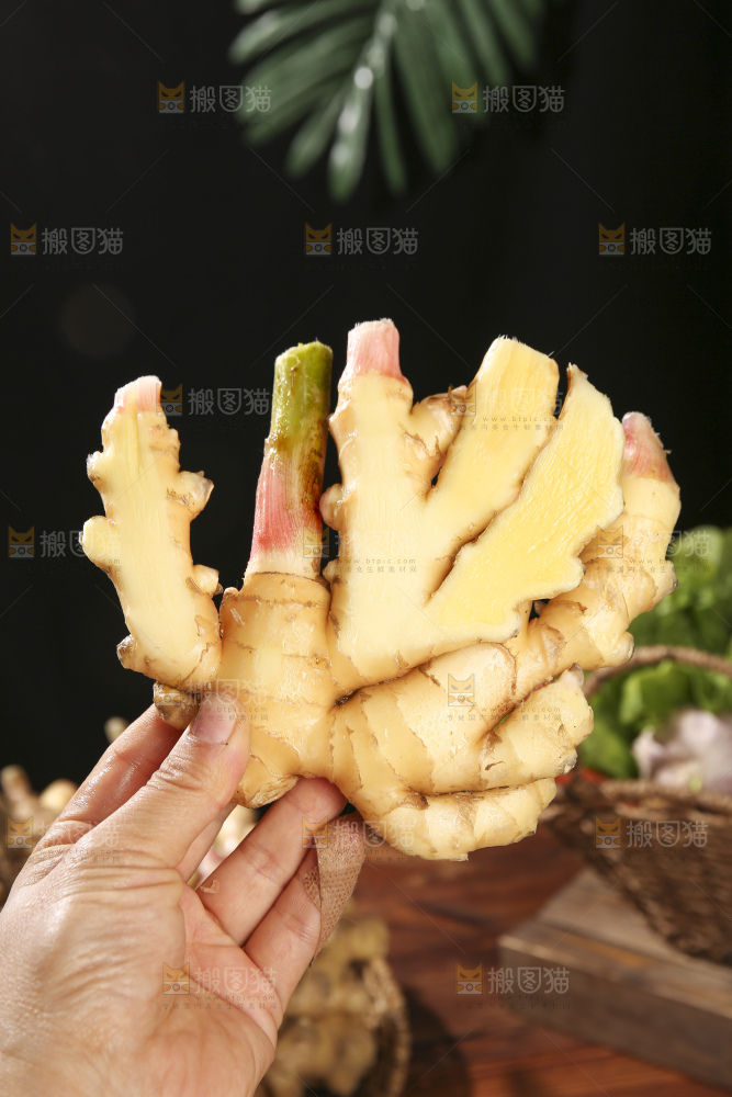 木底上的新鲜小黄姜